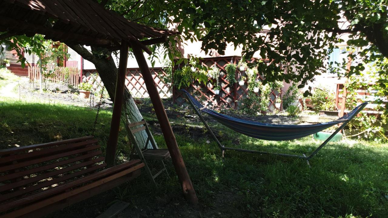 Casa Lorena Sărata-Monteoru Buitenkant foto