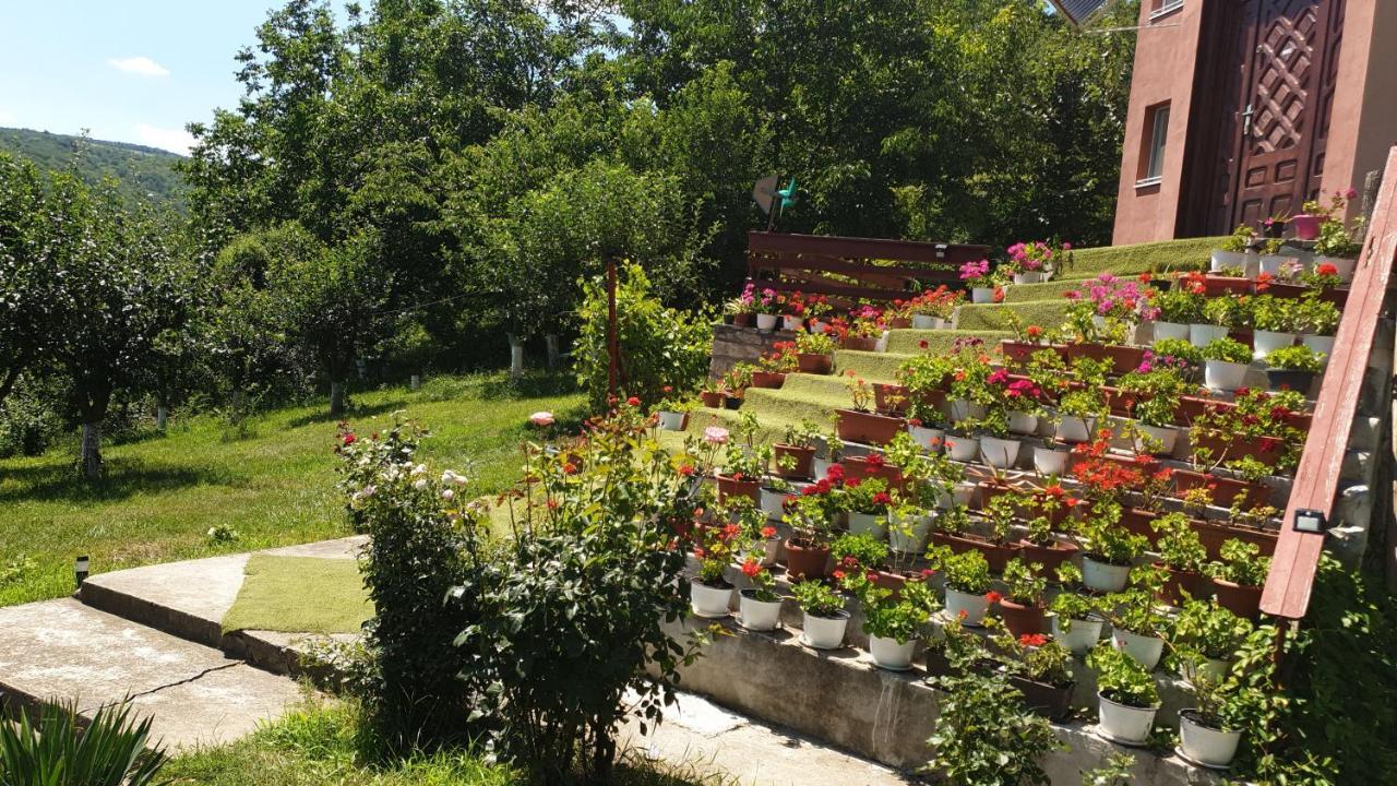 Casa Lorena Sărata-Monteoru Buitenkant foto
