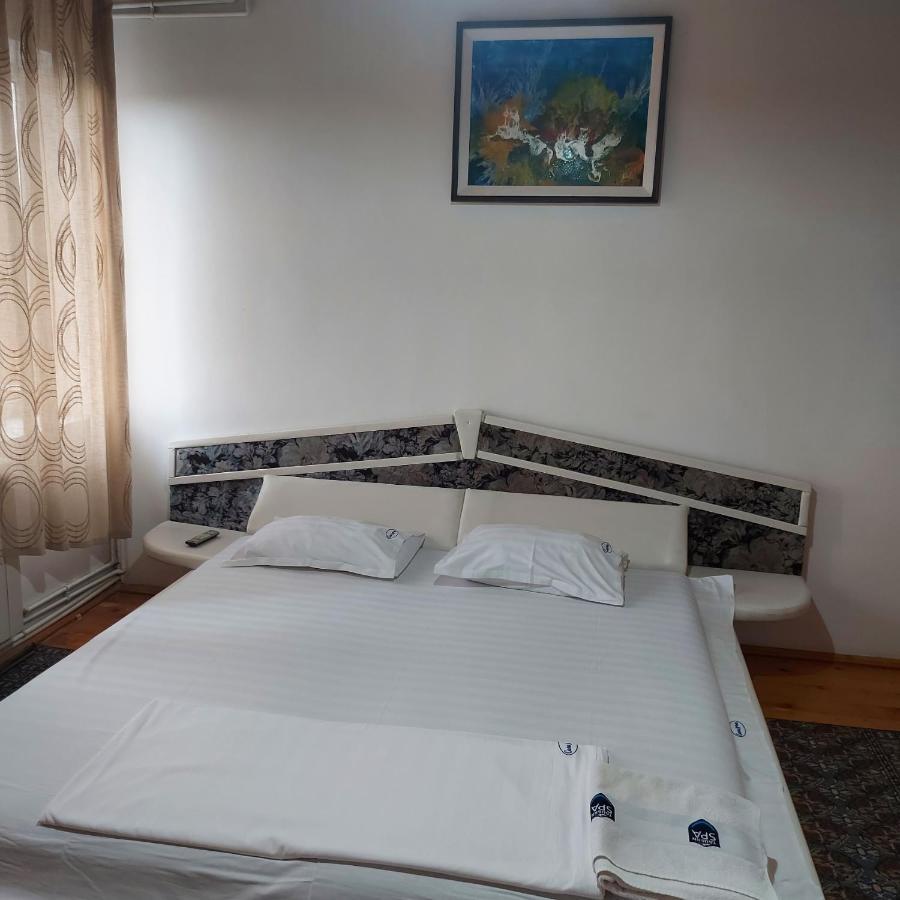 Casa Lorena Sărata-Monteoru Buitenkant foto