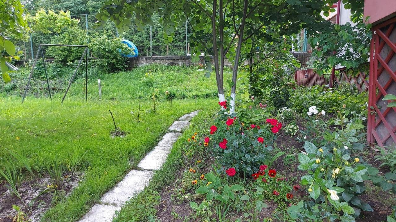 Casa Lorena Sărata-Monteoru Buitenkant foto