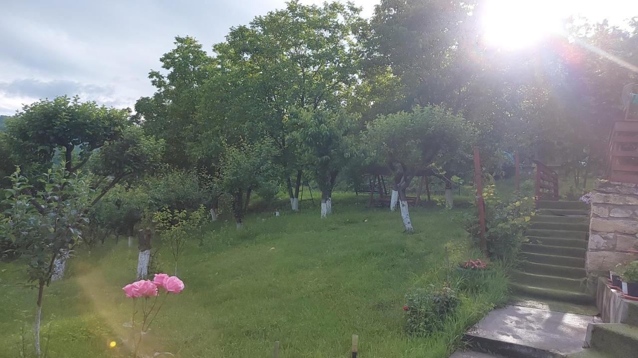 Casa Lorena Sărata-Monteoru Buitenkant foto