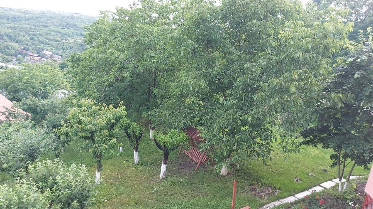 Casa Lorena Sărata-Monteoru Buitenkant foto