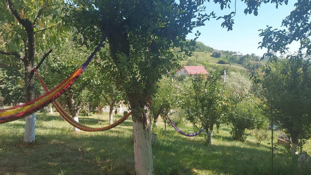 Casa Lorena Sărata-Monteoru Buitenkant foto